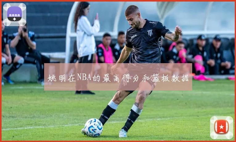 姚明在NBA的最高得分和篮板数据