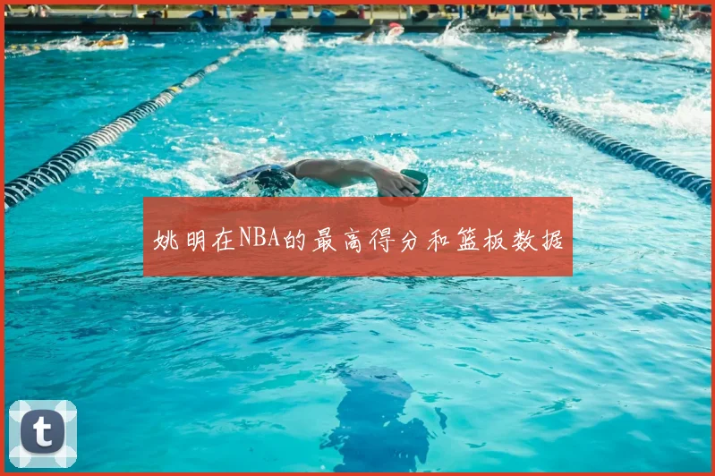 姚明在NBA的最高得分和篮板数据